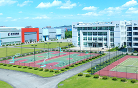 Basketball court, tennis court
